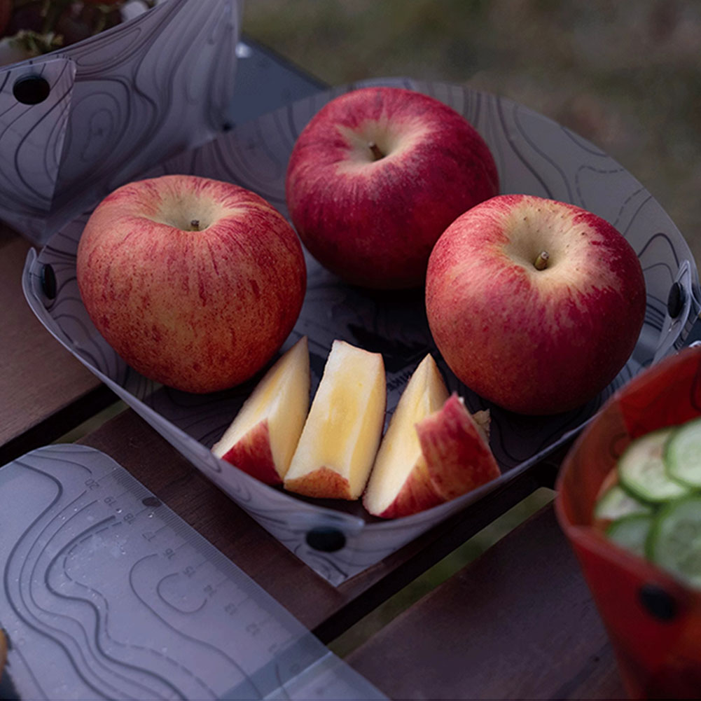 Outdoor Lightweight Folding Ta - Camping Cooking Plate recension och pris